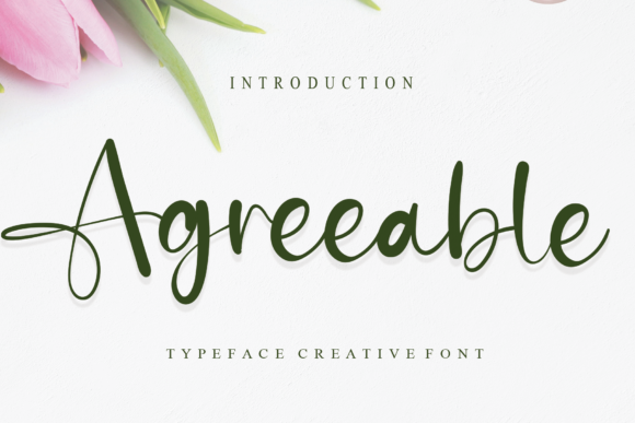Agreeable: The Script Font for Modern Marketers