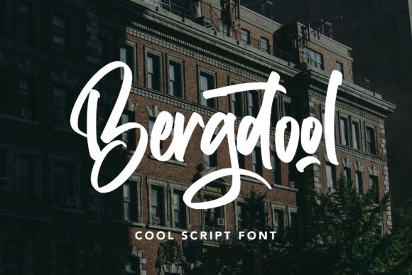 Bergdool: The Elegant Script Font for Makers