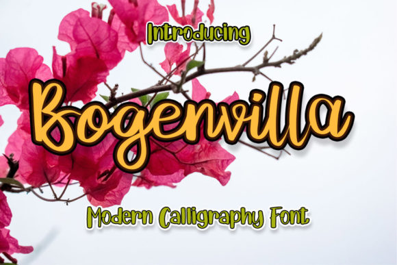 Bogenvilla: The Handwritten Font for Scroll-Stopping Social Content