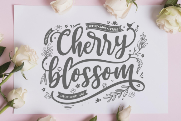Cherry Blossom Font: A Designer’s Practical Review
