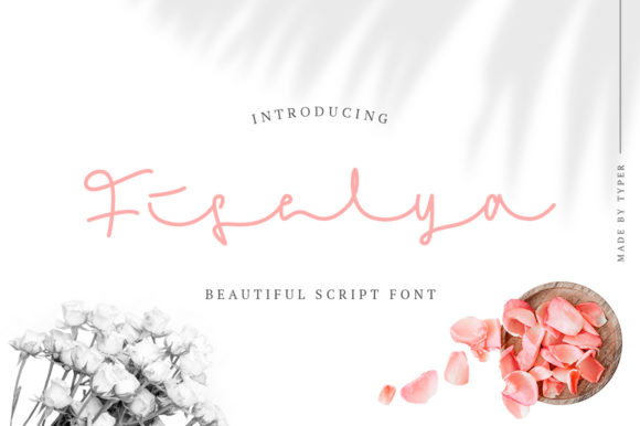 Fiselya Font Review for Web Designers