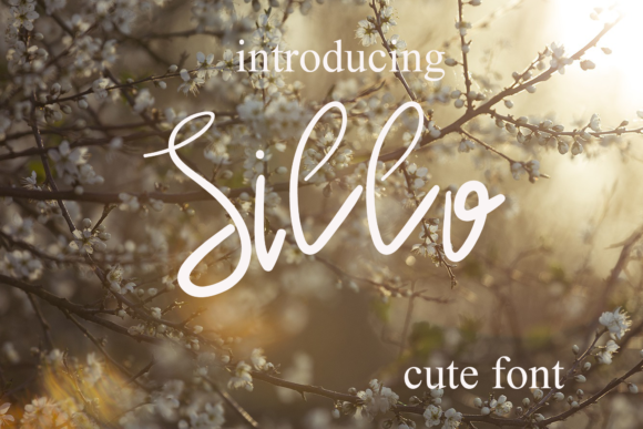 Sillo: A Handwritten Font for Warm Brand Identity