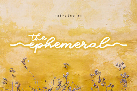 The Ephemeral Typeface for Elegant Branding