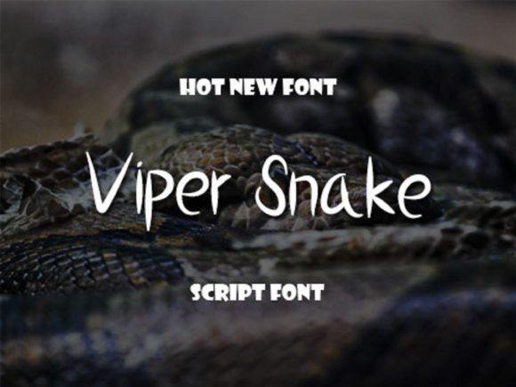 Viper Snake: A Playful Handwritten Font for Campaigns